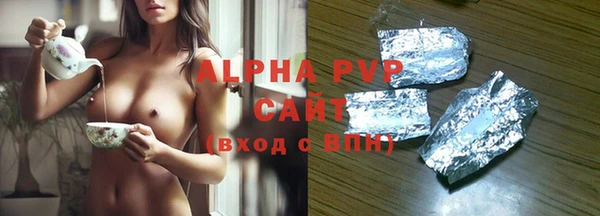 спиды Новозыбков