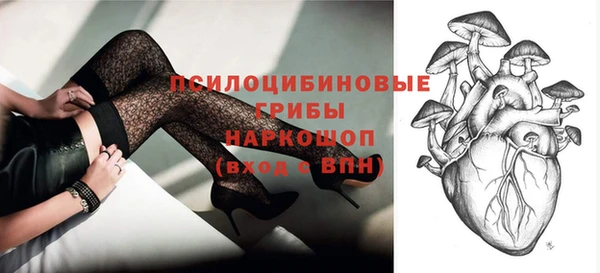 Альфа ПВП Нея