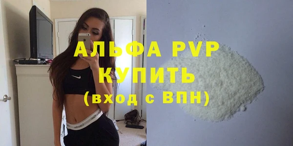 спиды Новозыбков