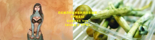 спиды Новозыбков
