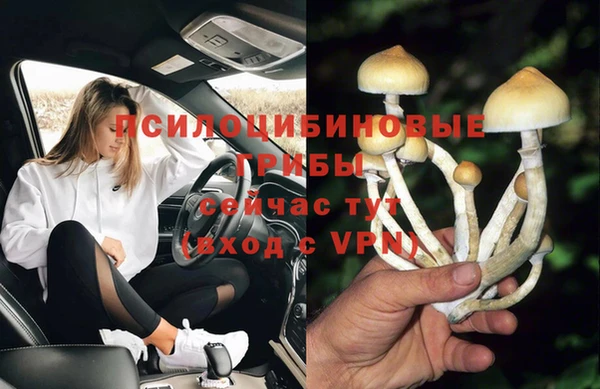 спиды Новозыбков