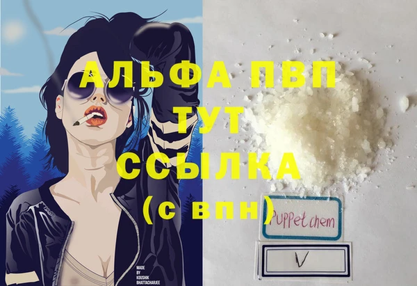 спиды Новозыбков