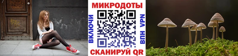 Галлюциногенные грибы Cubensis  Купить  Железногорск-Илимский 